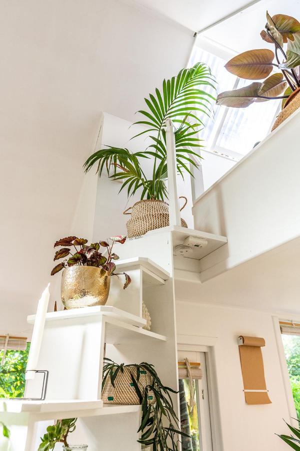Boho Hill Waiheke Island Βίλα Palm Beach Εξωτερικό φωτογραφία