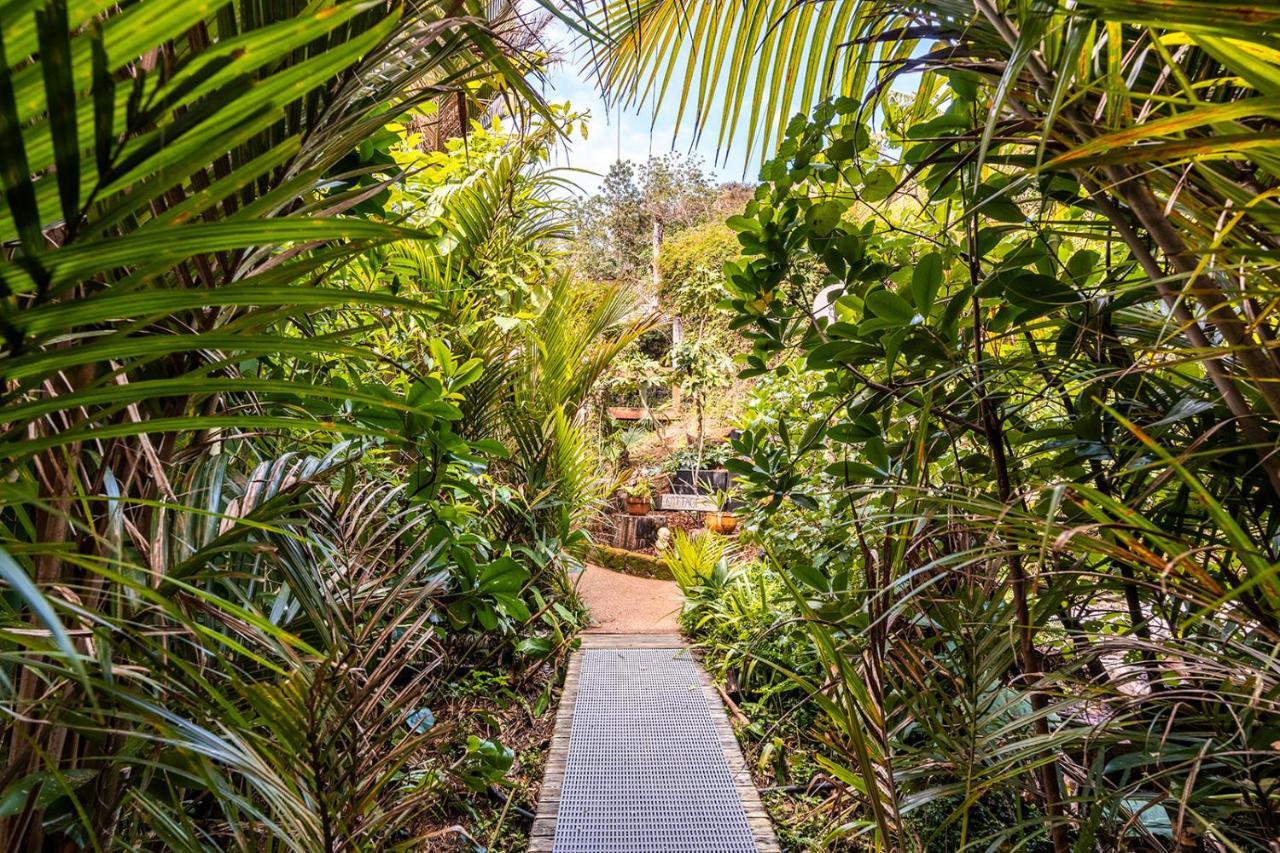 Boho Hill Waiheke Island Βίλα Palm Beach Εξωτερικό φωτογραφία