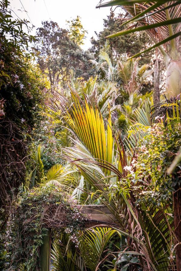 Boho Hill Waiheke Island Βίλα Palm Beach Εξωτερικό φωτογραφία