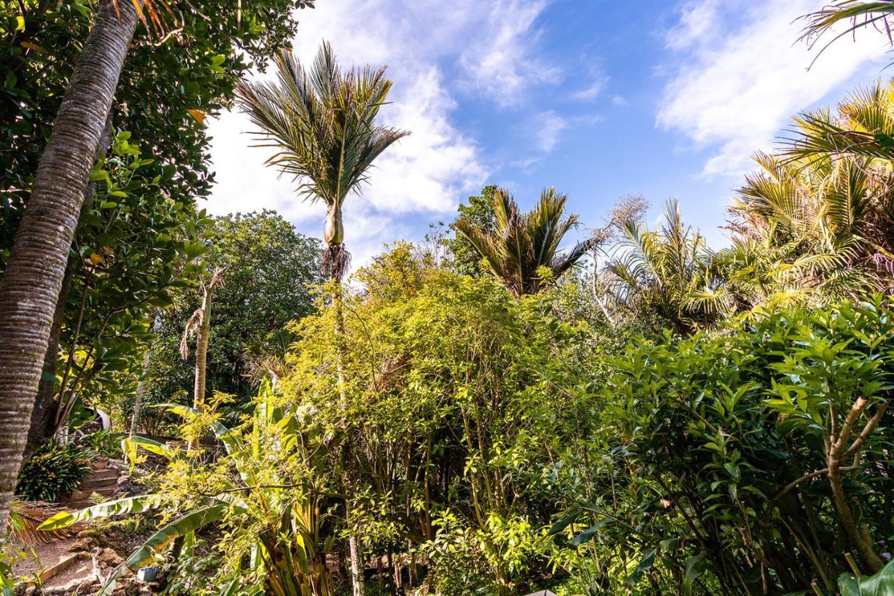 Boho Hill Waiheke Island Βίλα Palm Beach Εξωτερικό φωτογραφία