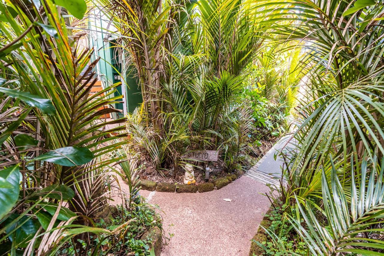 Boho Hill Waiheke Island Βίλα Palm Beach Εξωτερικό φωτογραφία