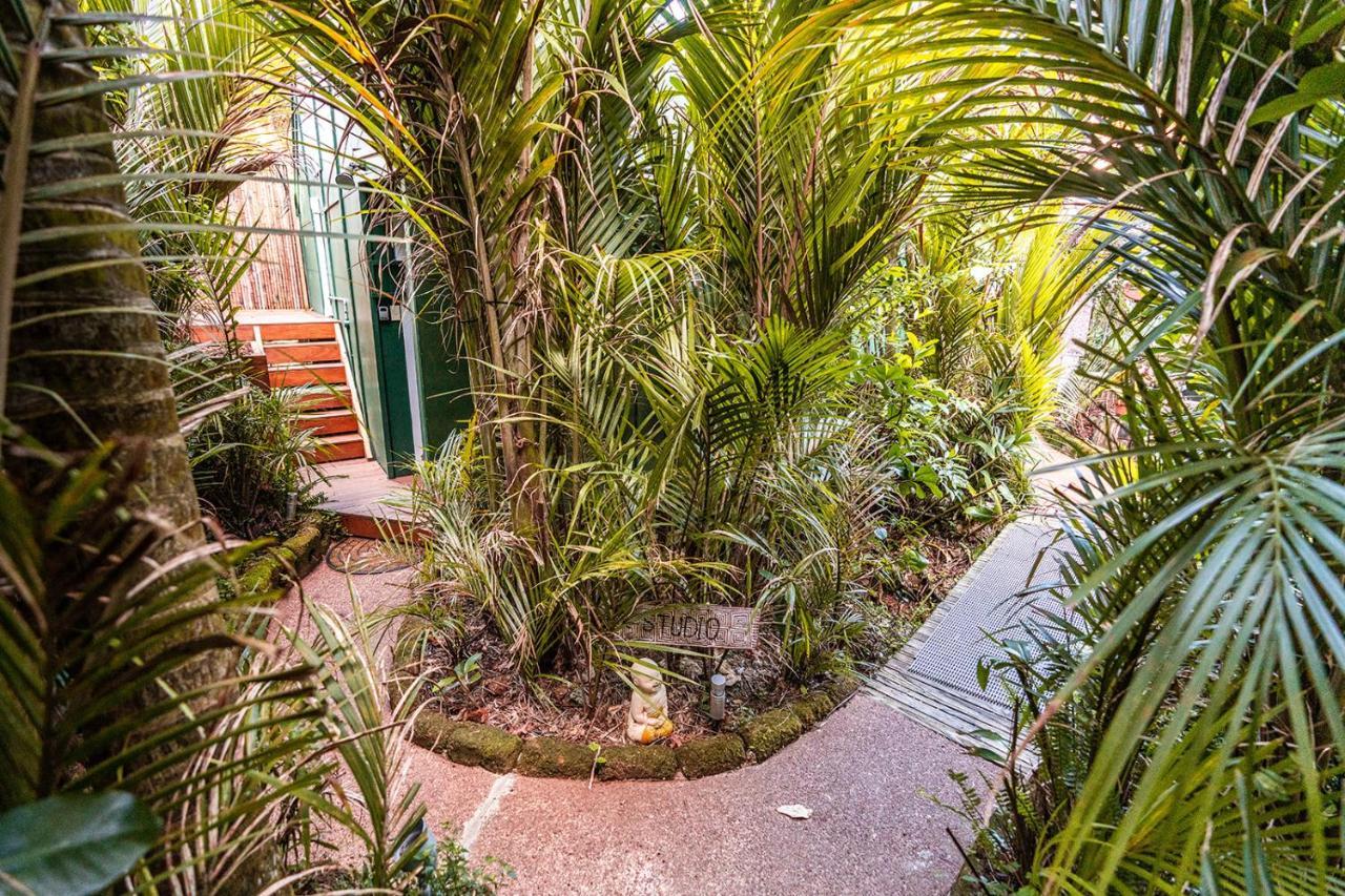 Boho Hill Waiheke Island Βίλα Palm Beach Εξωτερικό φωτογραφία